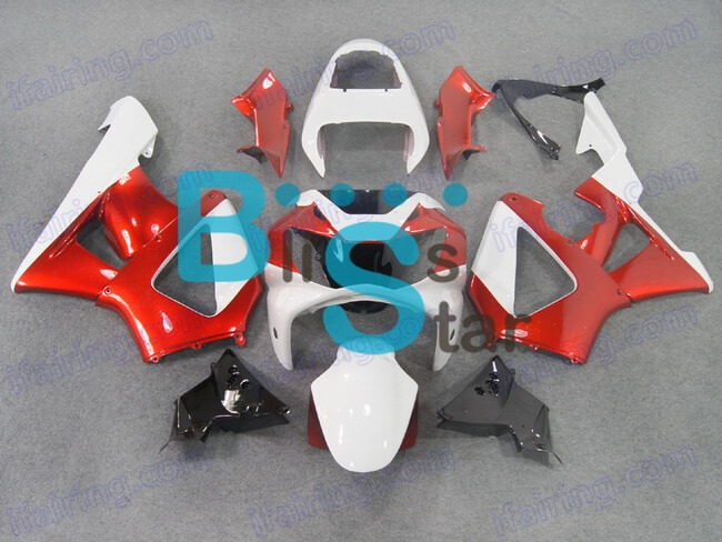 (image for) Fairing kit fit for Honda CBR900RR 929 2000 2001 130