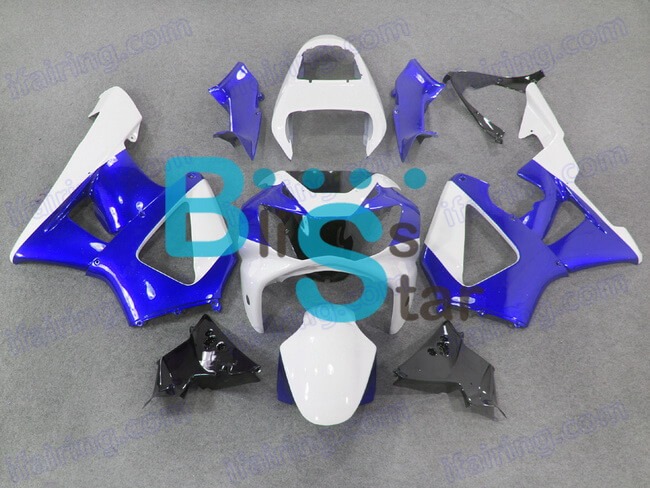 (image for) Fairing kit fit for Honda CBR900RR 929 2000 2001 131