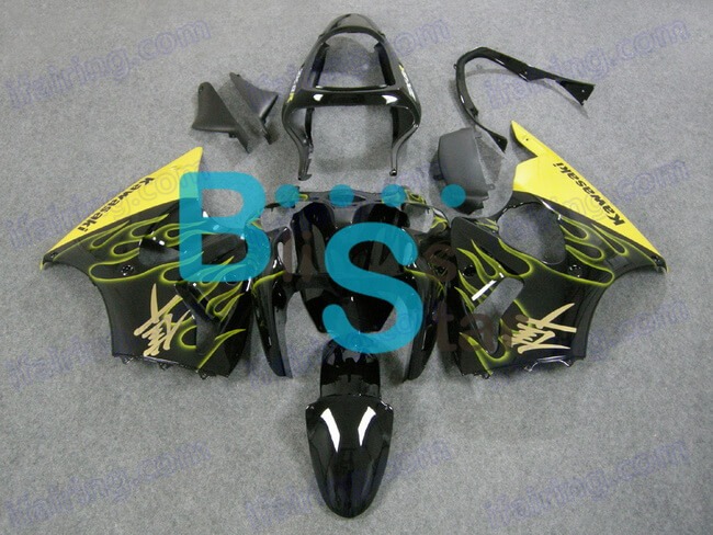 (image for) Fairing kit fit for ZX 6R 2000-2002 146