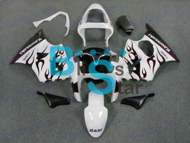 (image for) Fairing kit fit for ZX 6R 2000-2002 162