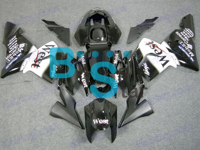 (image for) Fairing kit fit for ZX 10R 2004 2005 138